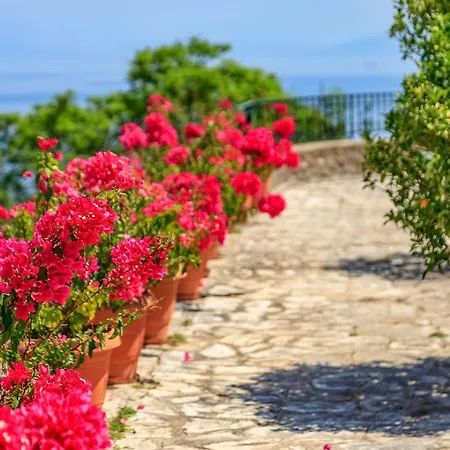 Villa Aphrodite In Corfu