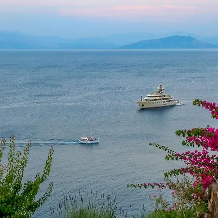 Aphrodite In Corfu